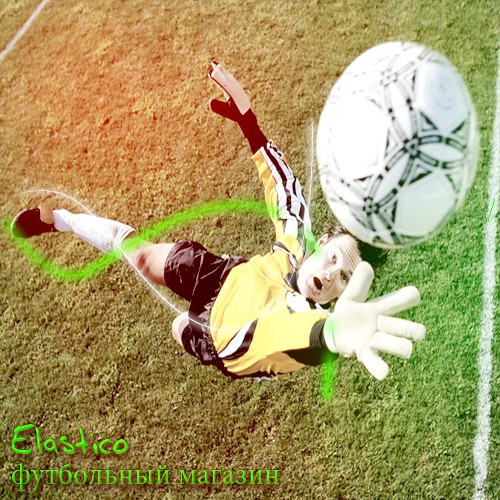 Логотипы: Логотип интернет магазина